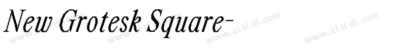 New Grotesk Square字体转换 New Grotesk Square字体转换